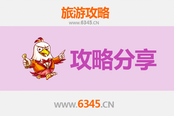 常德澧县旅游攻略：跟团与自由行深度对比